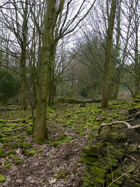 2014-03-30 10.23.52.jpg
